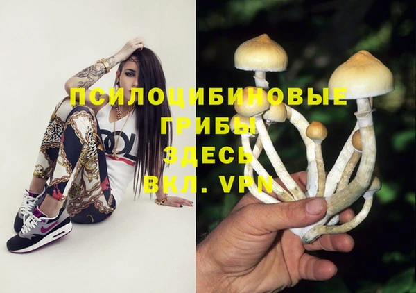 хмурый Михайловск