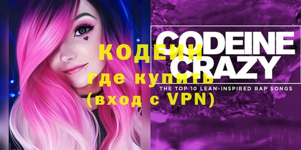 хмурый Михайловск