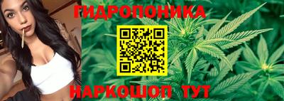 скорость Гусев