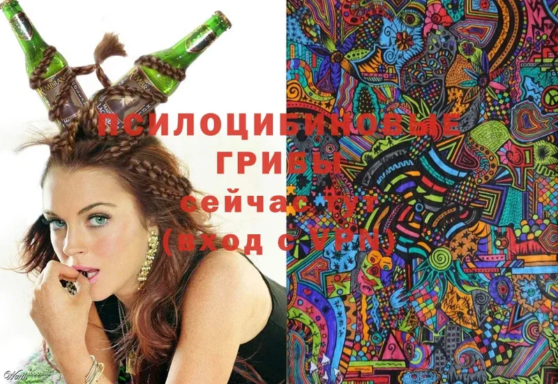 Галлюциногенные грибы Magic Shrooms  Краснокаменск 