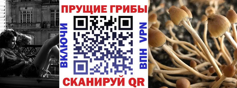 Псилоцибиновые грибы прущие грибы где купить наркоту Краснокаменск